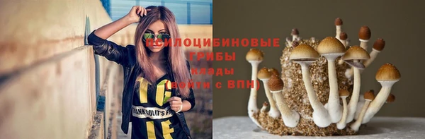 метадон Алексин