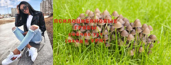 молекула духа Алзамай