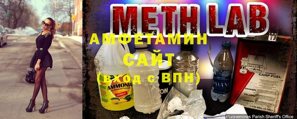молекула духа Алзамай