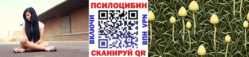 Галлюциногенные грибы MAGIC MUSHROOMS Асино