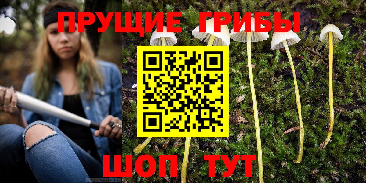Галлюциногенные грибы мухоморы Асино